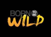 Born To Be Wild August 25 2024